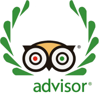 tripadvisors logo